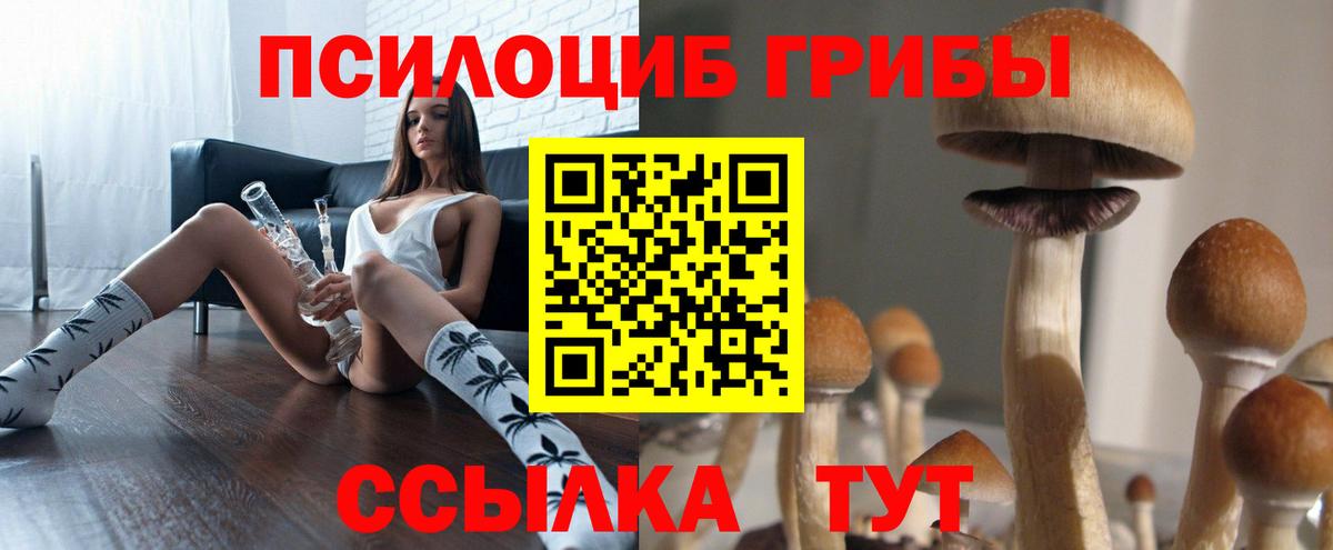 Набережные Челны  Галлюциногенные грибы Psilocybe  Вход с VPN  Псилоцибиновые грибы прущие грибы 